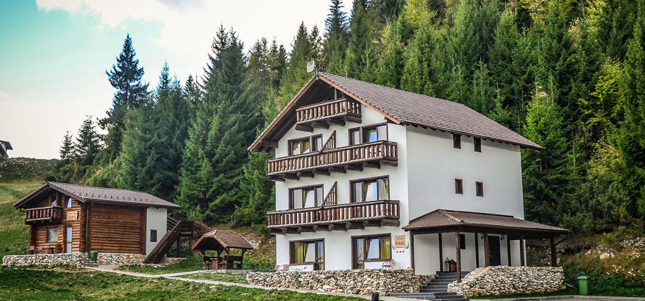 Vila Pinul g 1 Vila Pinul g 1