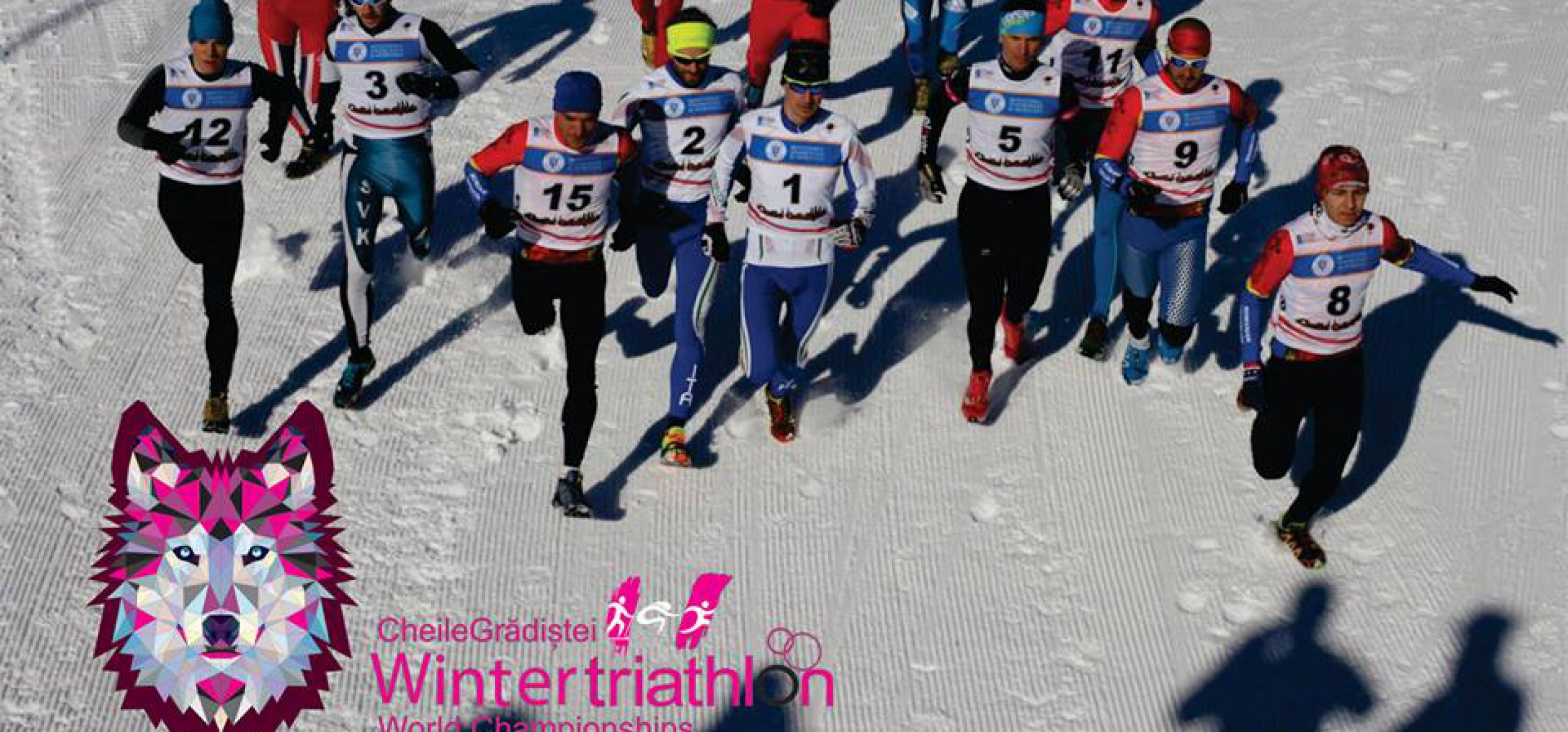 echipe-campionatul-mondial-triathlon echipe-campionatul-mondial-triathlon
