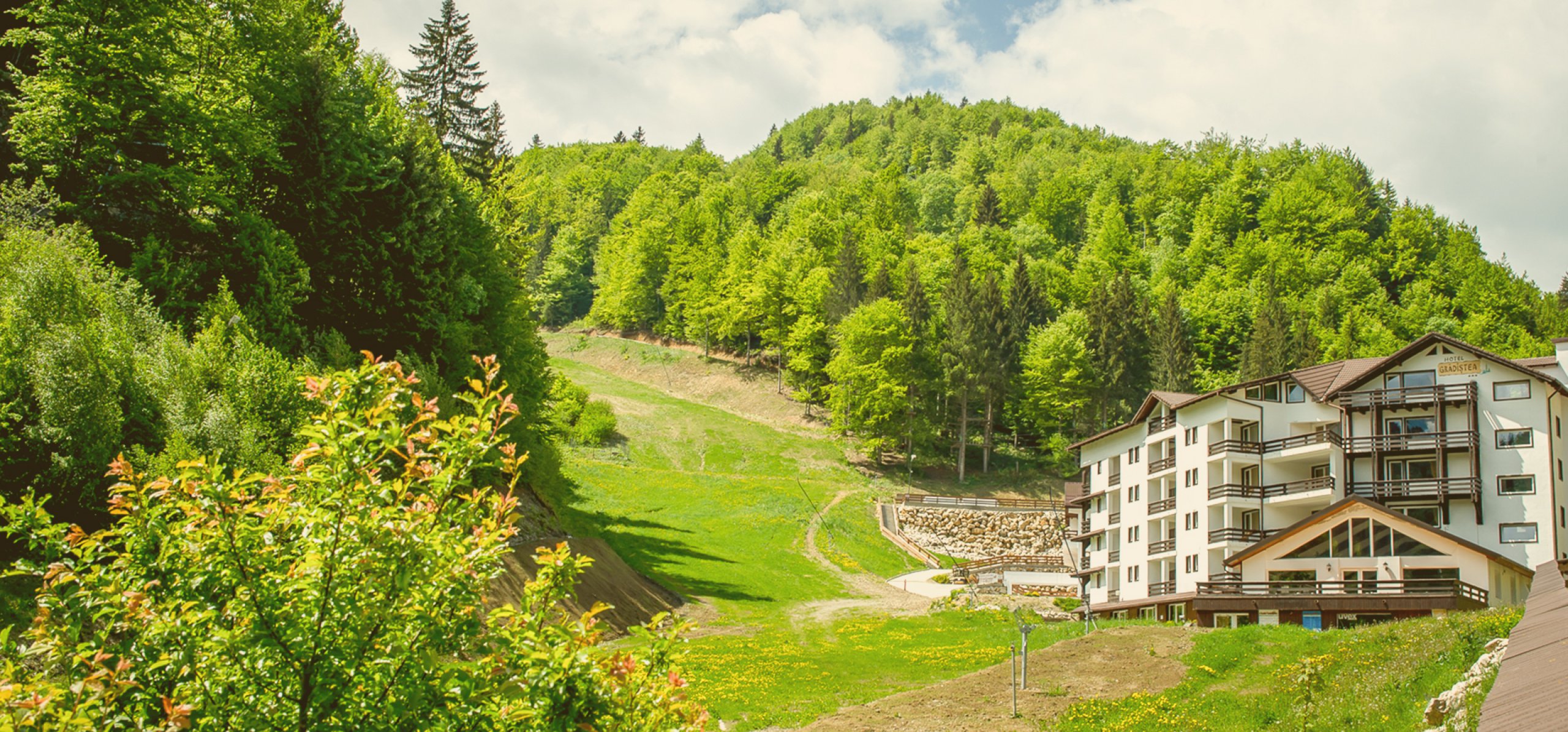 Pentru familii g 0 Pentru familii g 0