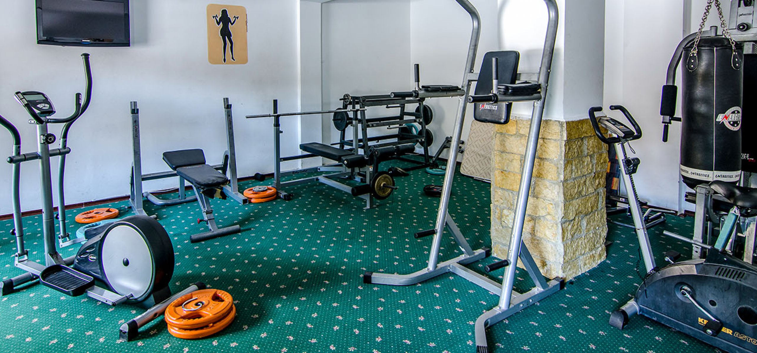 sala-fitness-vila-ana-vile-moeciu sala-fitness-vila-ana-vile-moeciu