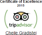 tripadvisor