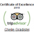 tripadvisor